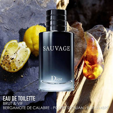 eau de toilette dior homme sauvage|sauvage eau de toilette 100ml.